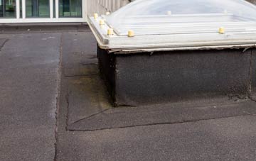 disadvantages of Tronston flat roofs