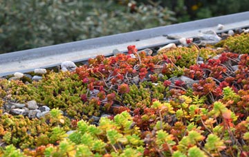 the cost of Tronston green roof installation