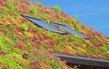 Tronston living roof systems