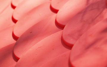 Tronston plastic roof costs