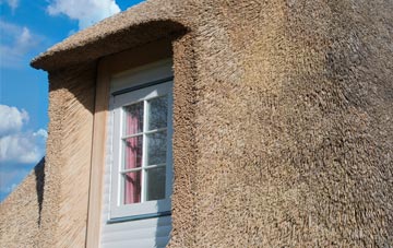 Tronston thatch roof disadvantages