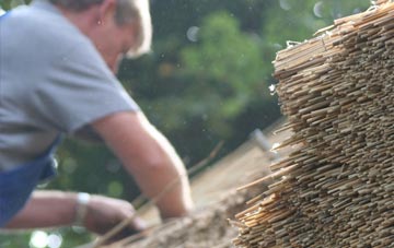 professional Tronston thatchers